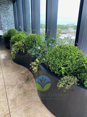 Curved aluminium planters