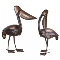 Pelican Mother
