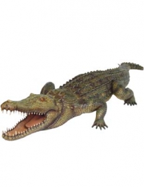 Crocodile # 7113