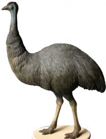 Emu 2 # 7108