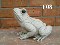 Frog, Medium with Head Up