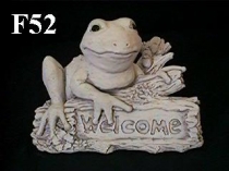 Welcome, Frog Sitting on Log