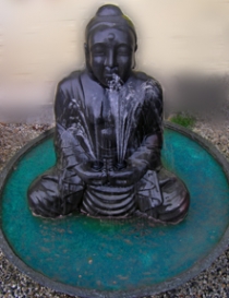 Meditating Buddha Ftn