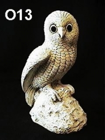 Hoot Owl on Rock