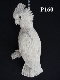Parrot Plaque