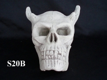Skull with Horns