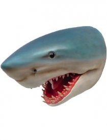 Shark Head #7114