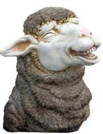 Sheep Head 1 #7074