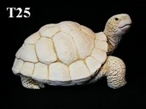 Tortoise Large