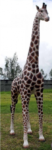 Giraffe 12ft
