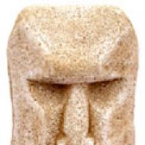Male Java Head